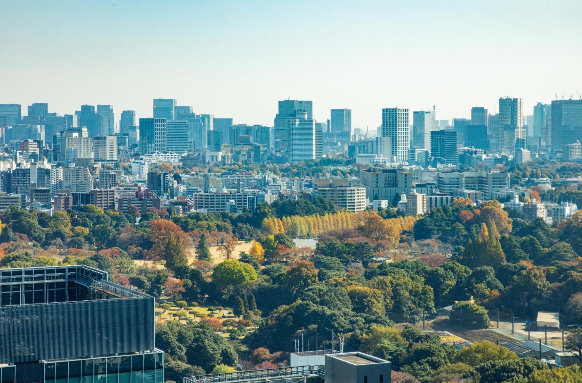 Odakyu Hotel Century Southern Tower Tokyo Dış mekan fotoğraf
